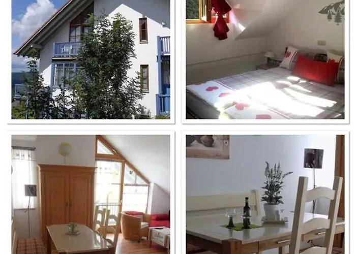 Ferienland Sonnenwald 46 Und 50 In Bayerischer Wald Appartement Schöfweg
