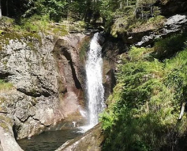 Appartement Ferienland Sonnenwald 46 Und 50 In Bayerischer Wald Schöfweg