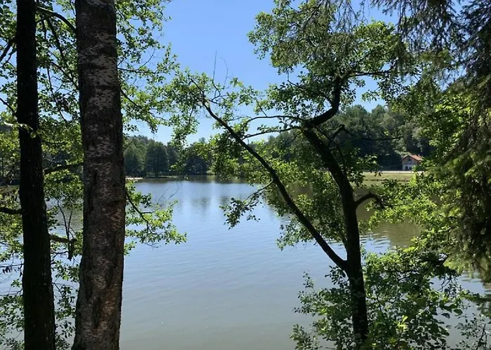 Ferienland Sonnenwald 46 Und 50 In Bayerischer Wald *