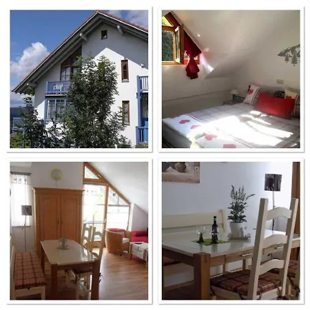 Ferienland Sonnenwald 46 Und 50 In Bayerischer Wald Apartment Schofweg