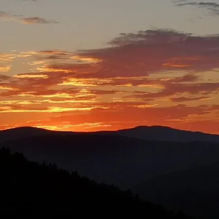 Ferienland Sonnenwald 46 Und 50 In Bayerischer Wald 公寓 Schöfweg