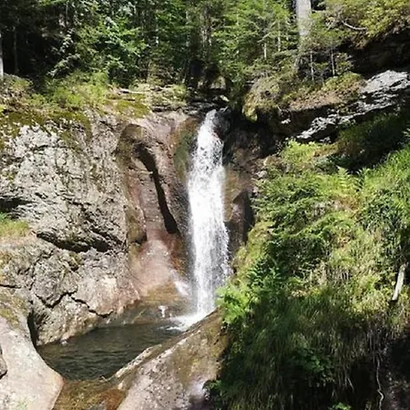 Daire Ferienland Sonnenwald 46 Und 50 In Bayerischer Wald Schöfweg