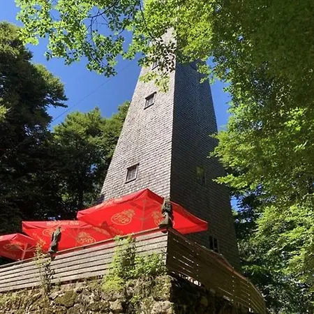 公寓 Ferienland Sonnenwald 46 Und 50 In Bayerischer Wald Schöfweg