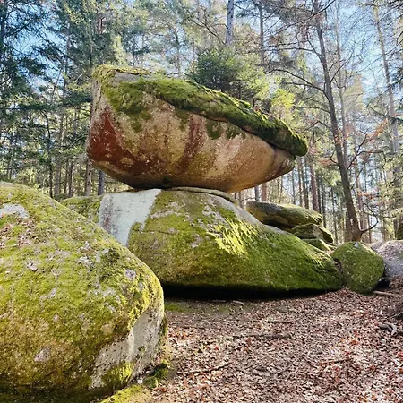 公寓 Ferienland Sonnenwald 46 Und 50 In Bayerischer Wald Schöfweg