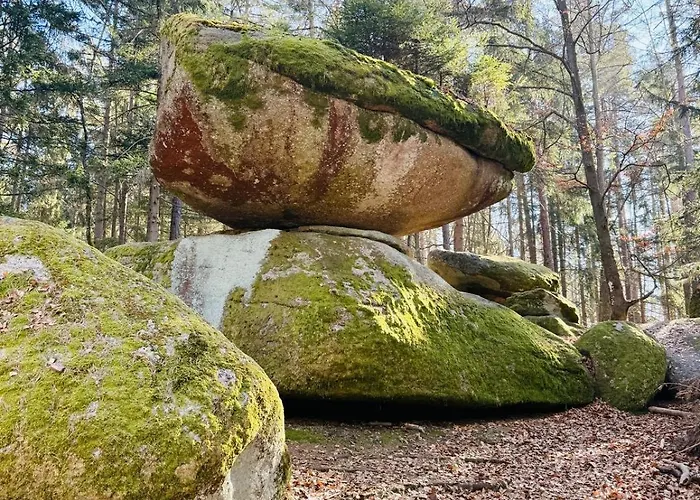 Appartamento Ferienland Sonnenwald 46 Und 50 In Bayerischer Wald Schöfweg